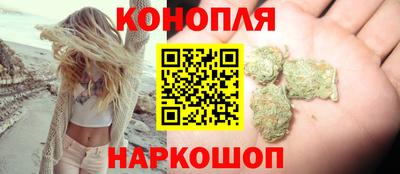 сатива Лесосибирск