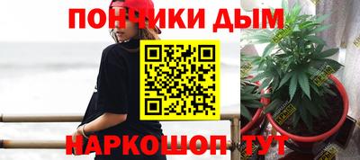 сатива Лесосибирск