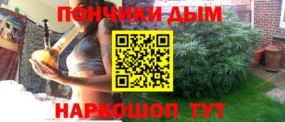 сатива Лесосибирск
