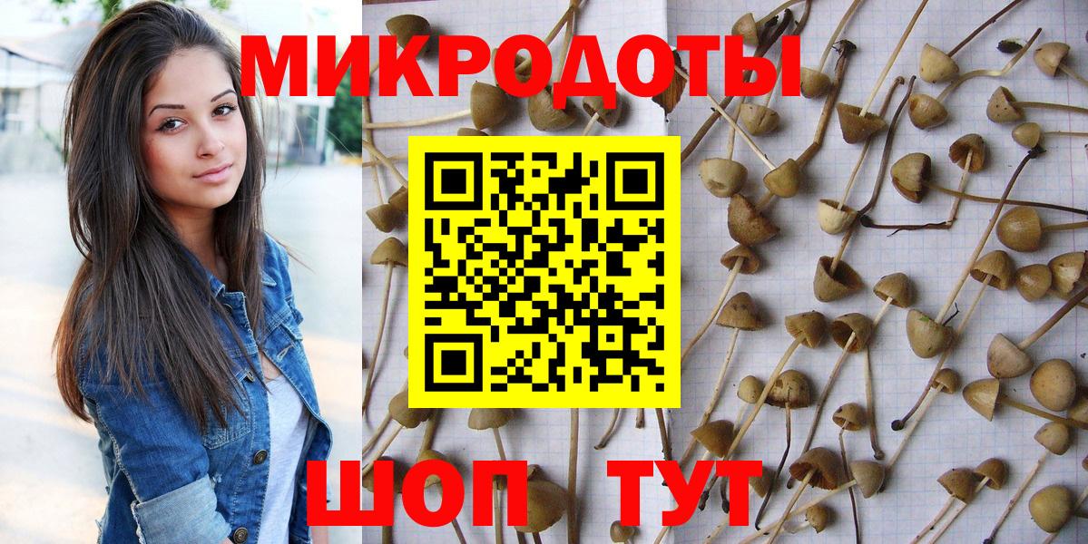 Галлюциногенные грибы Magic Shrooms Тамбов