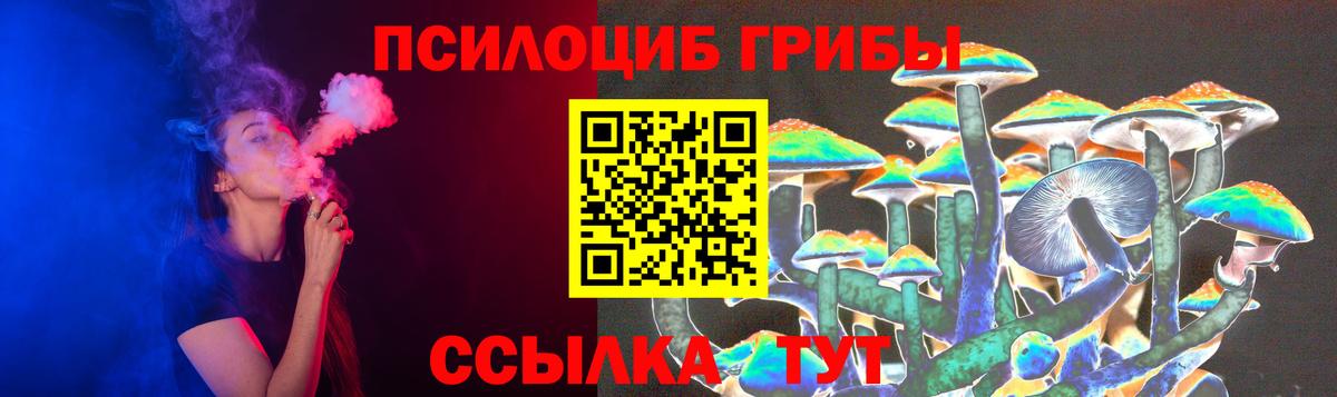Тамбов  Галлюциногенные грибы Psilocybe  Вход с VPN  Галлюциногенные грибы Cubensis 